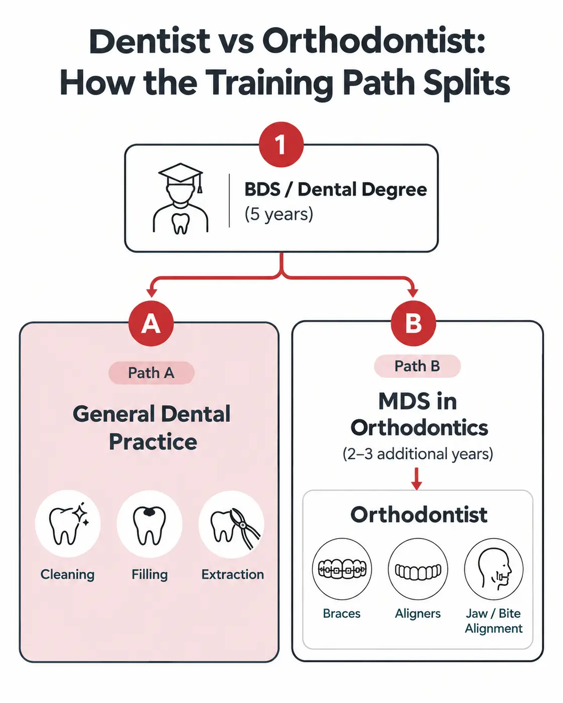 What Extra Training Does an Orthodontist Have That a Dentist Doesn't Infographic showing that a dentist and orthodontist share a 5-year dental degree, after which an orthodontist completes 2-3 additional years of specialized training in tooth alignment and bite correction.